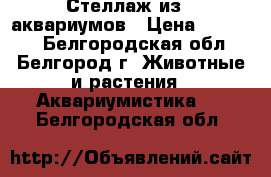 Стеллаж из 8 аквариумов › Цена ­ 38 000 - Белгородская обл., Белгород г. Животные и растения » Аквариумистика   . Белгородская обл.